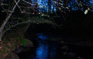 dimly lit river shot