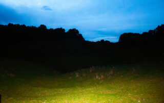 plains at night with the outline of the forest in the distance
