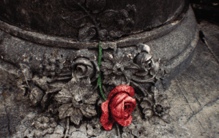 a stone sculpture of a set of flower with a singular colored rose